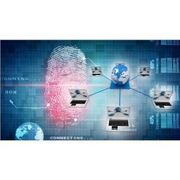 河北官方網絡推廣服務解析 客戶至上的羅卜特科技信息技術