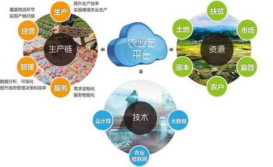 他山之石可以攻玉 借鑒美國(guó)農(nóng)業(yè)信息化經(jīng)驗(yàn)，以信息技術(shù)咨詢服務(wù)升級(jí)中國(guó)農(nóng)民